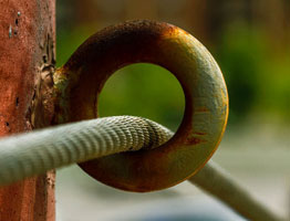 在线手机号轰炸